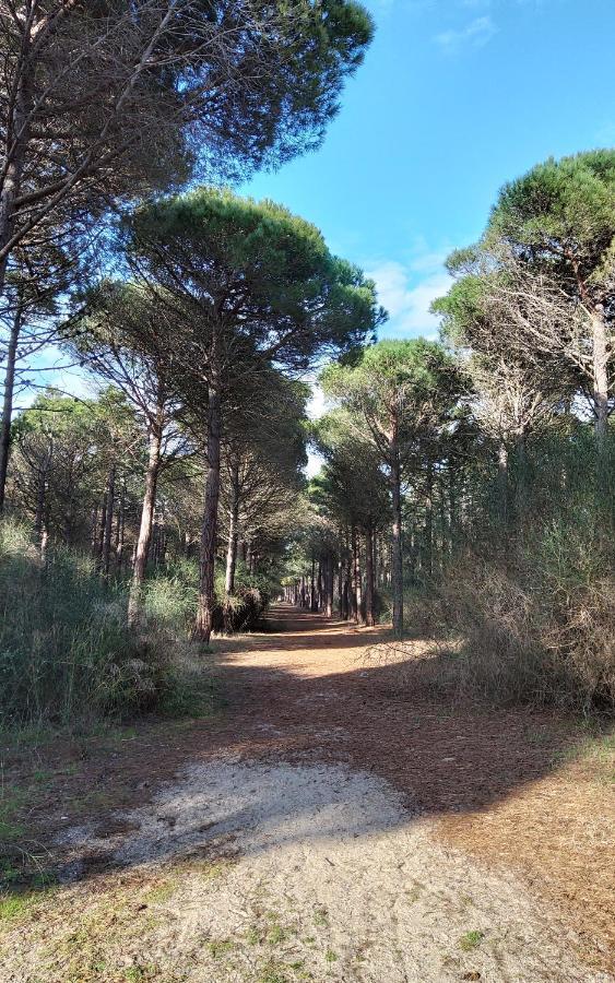 Villa La Catalane F3 avec Wi-Fi à Le Barcarès Extérieur photo